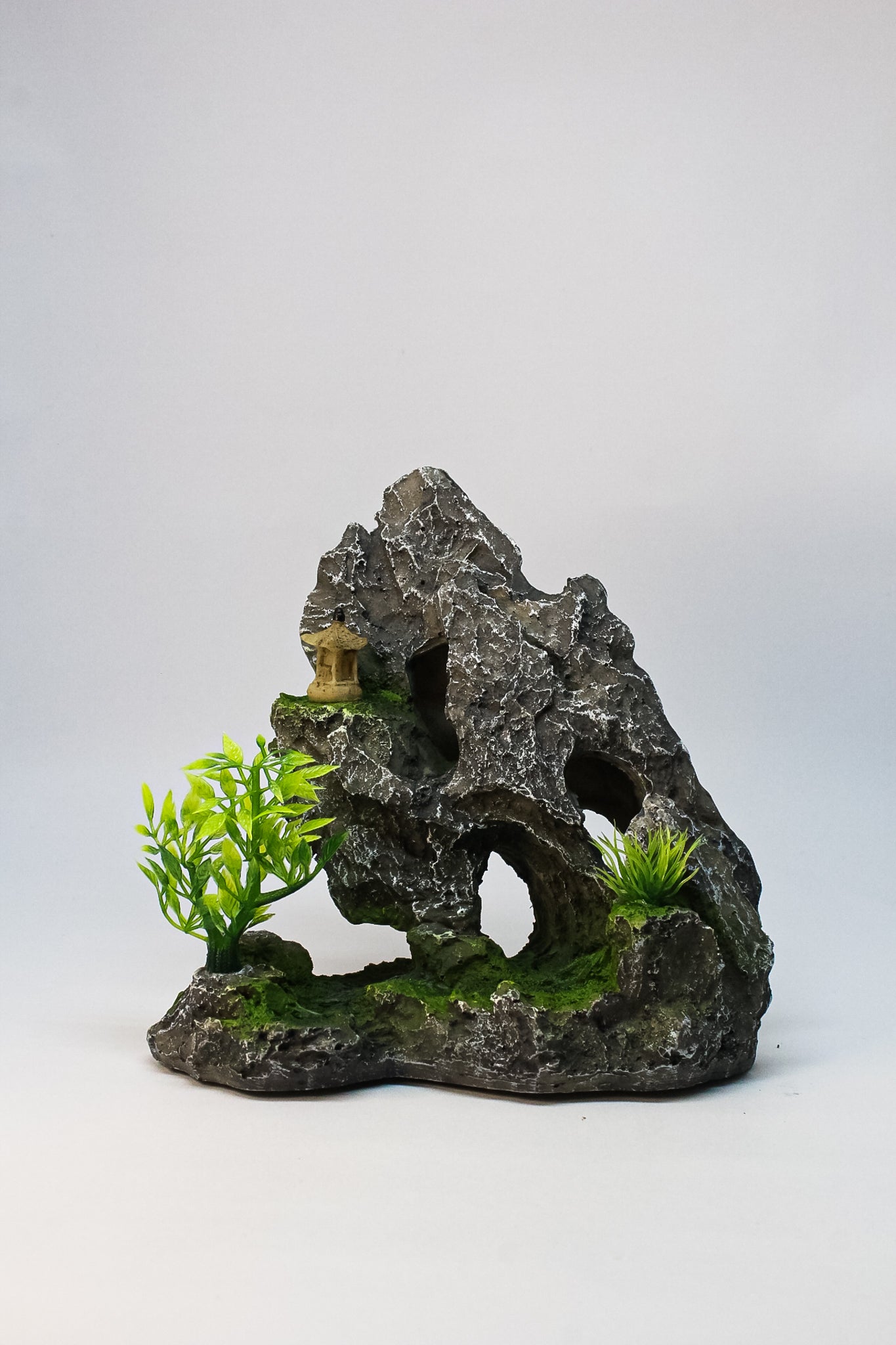 Casa Piedra
