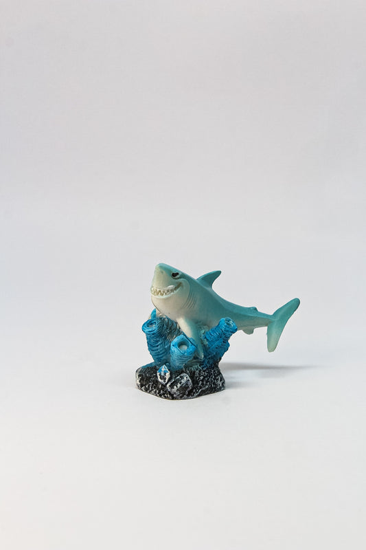 Ceramica Tiburón